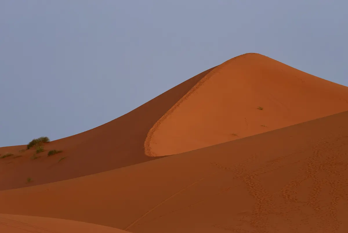 Une arête de dune orangée emplissant le cadre, quelques touffes vertes accrochées au flanc gauche, des traces de pas dans le sable en bas à droite